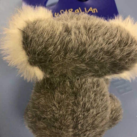 Australian | Koala - Picture 4 of 5